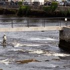 River Moy fishing