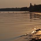 River near Krivoy Rog