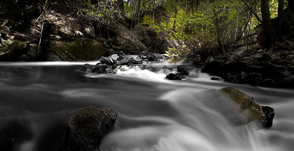 River Nesttun