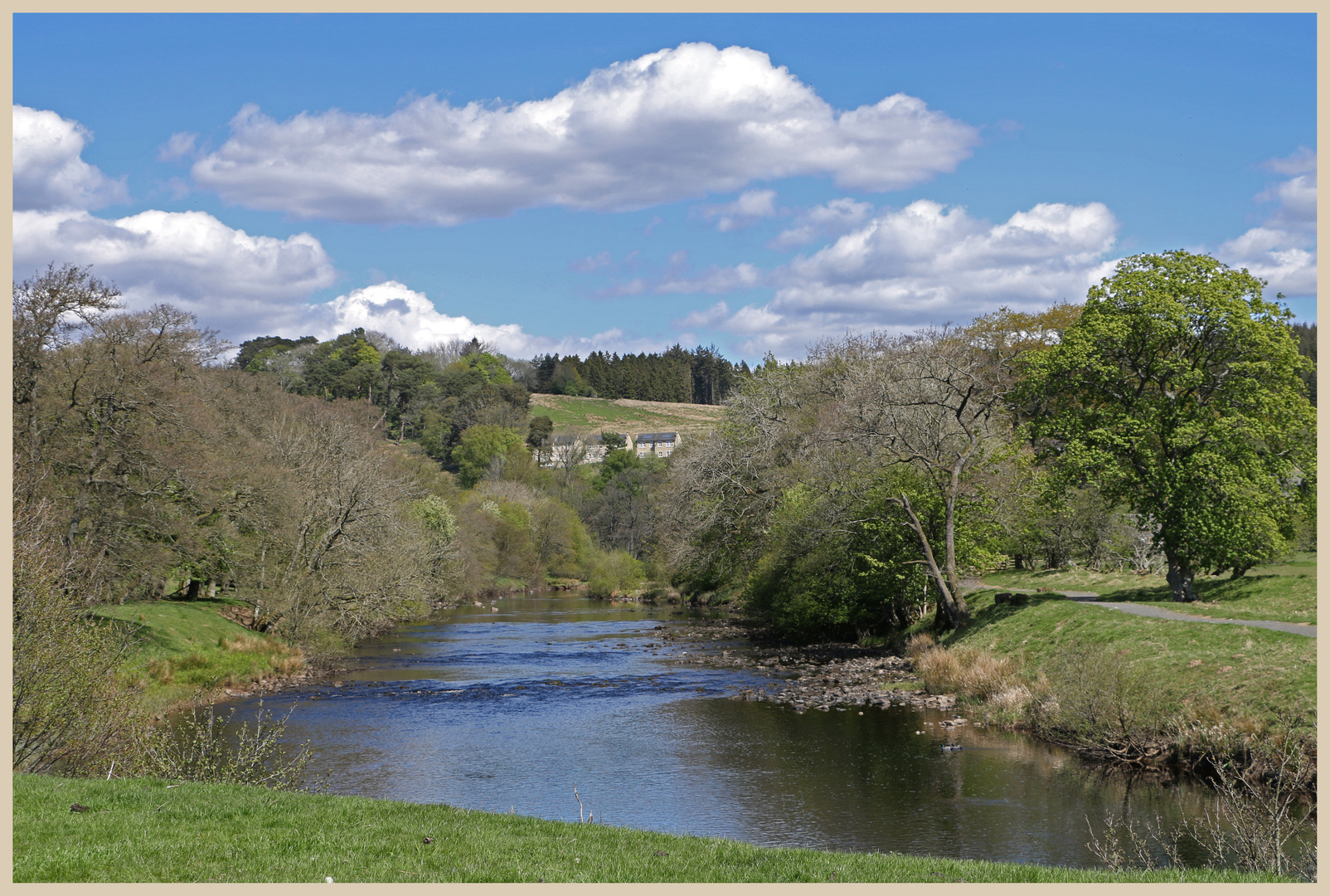 River North Tyne at falstone 7