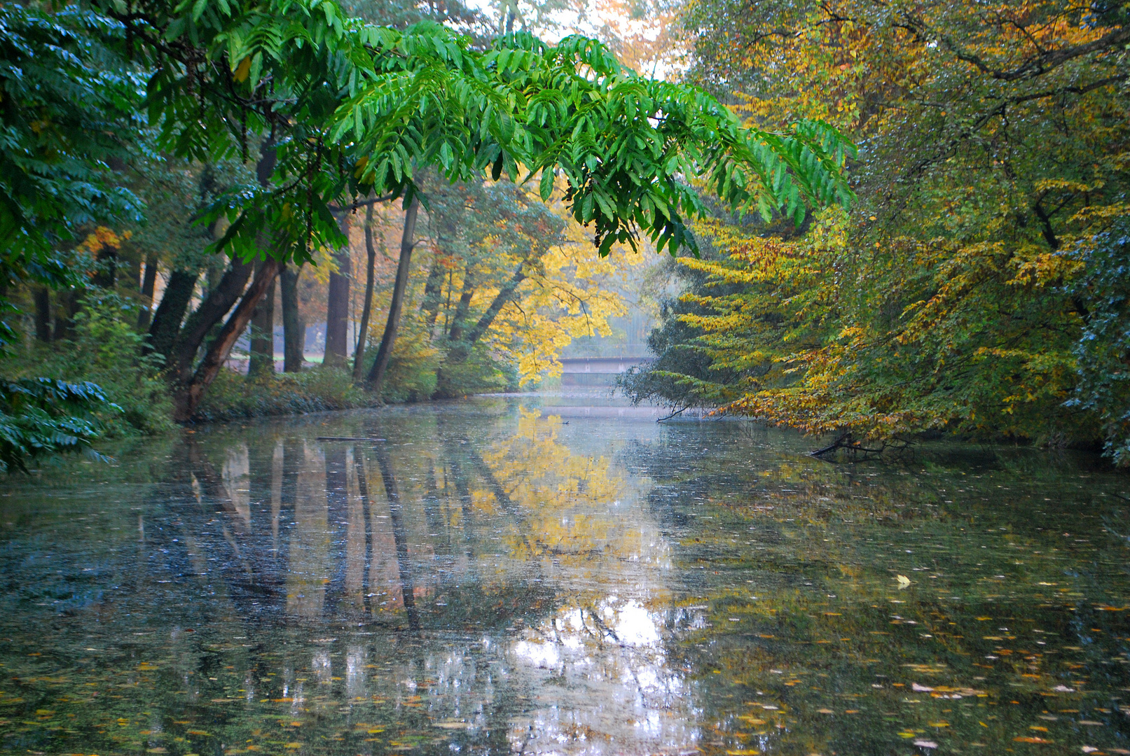 River of Silence