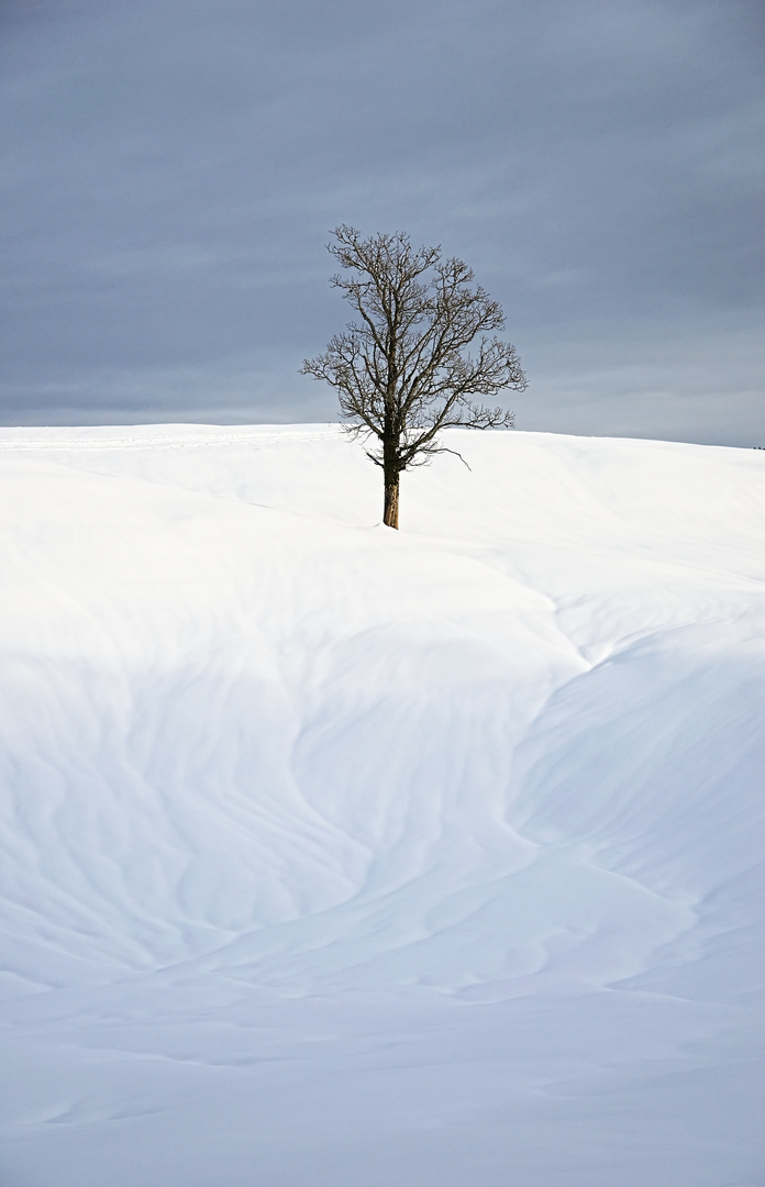 River of snow