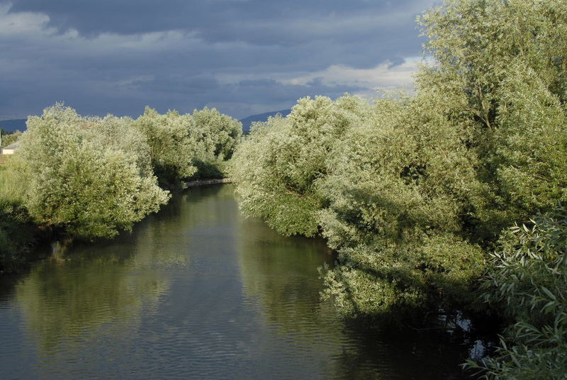 River Olt