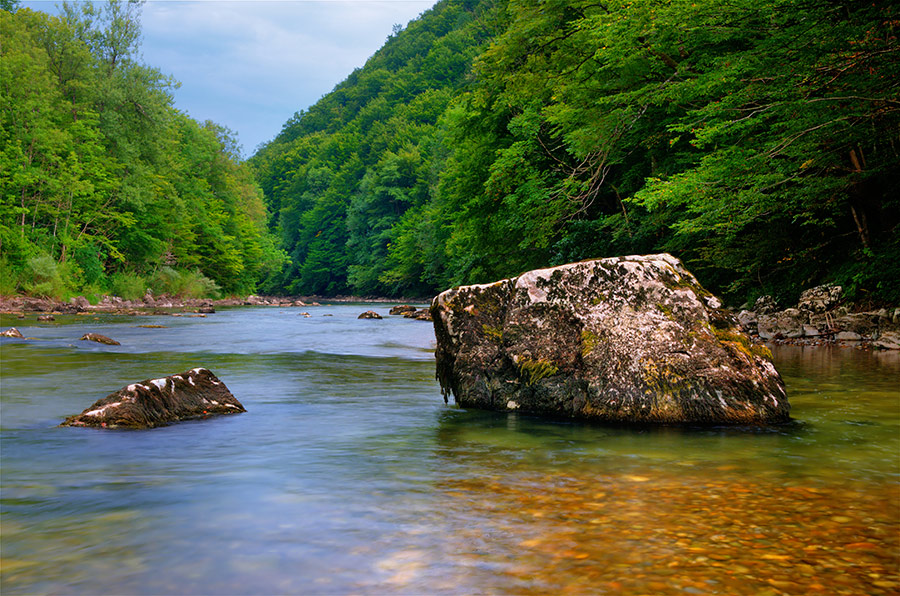 river palete