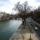 RIVER _paris