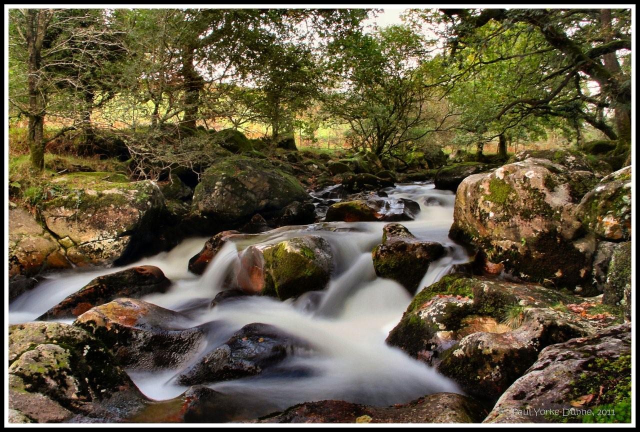 River Plym at Cadover, Dartmoor, Devon, UK