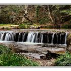 River Plym