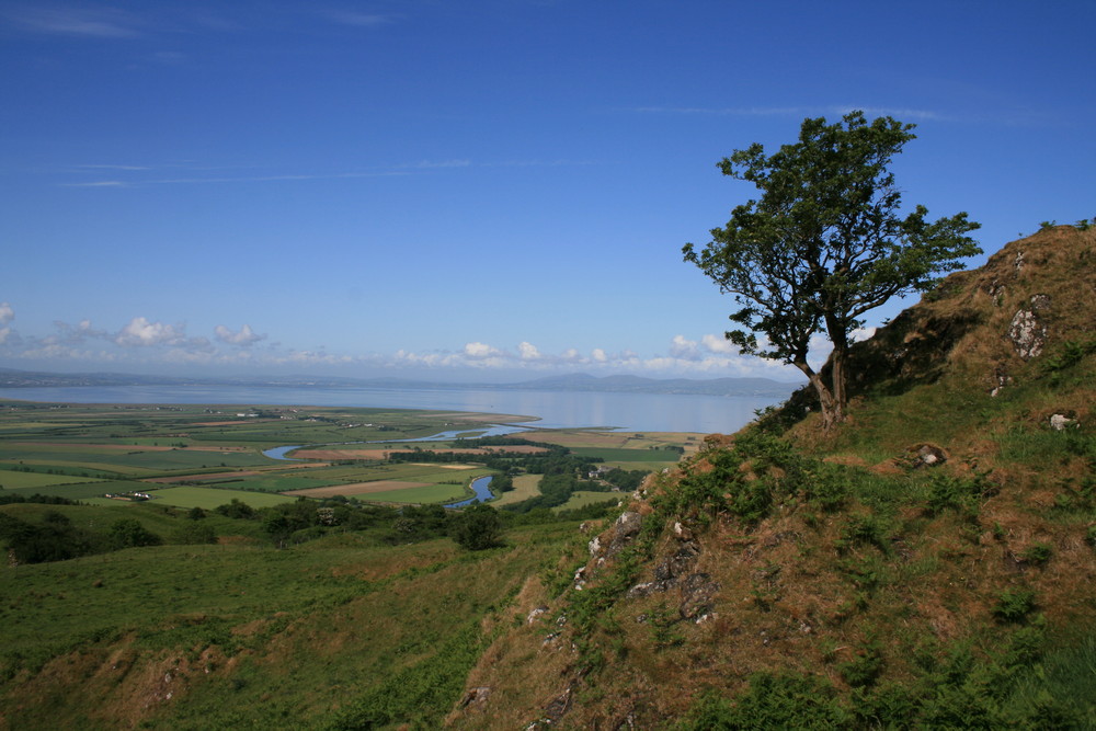 River Roe estuary