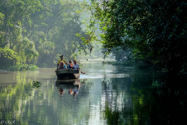 River safari in Borneo