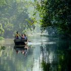 River safari in Borneo