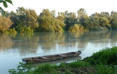 River Sava