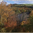 River South Tyne 3