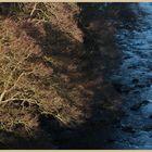 River South Tyne below the Lambley Viaduct 10