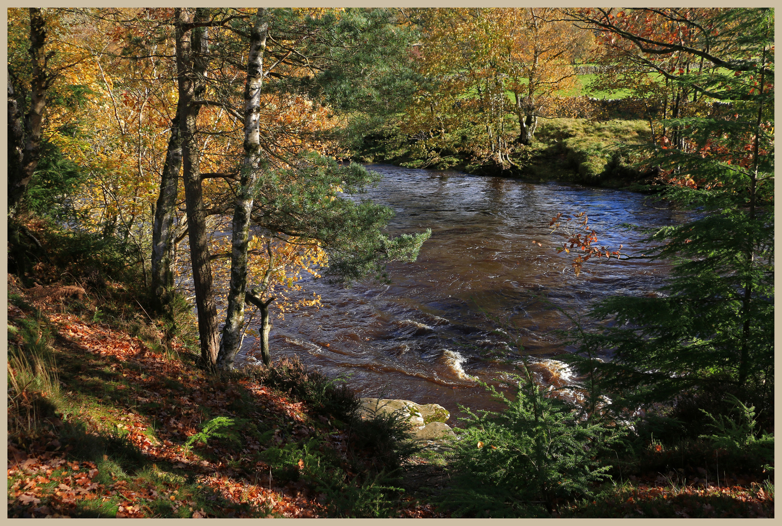 River South Tyne near Eals 3