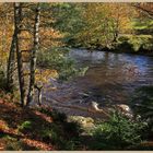 River South Tyne near Eals 3