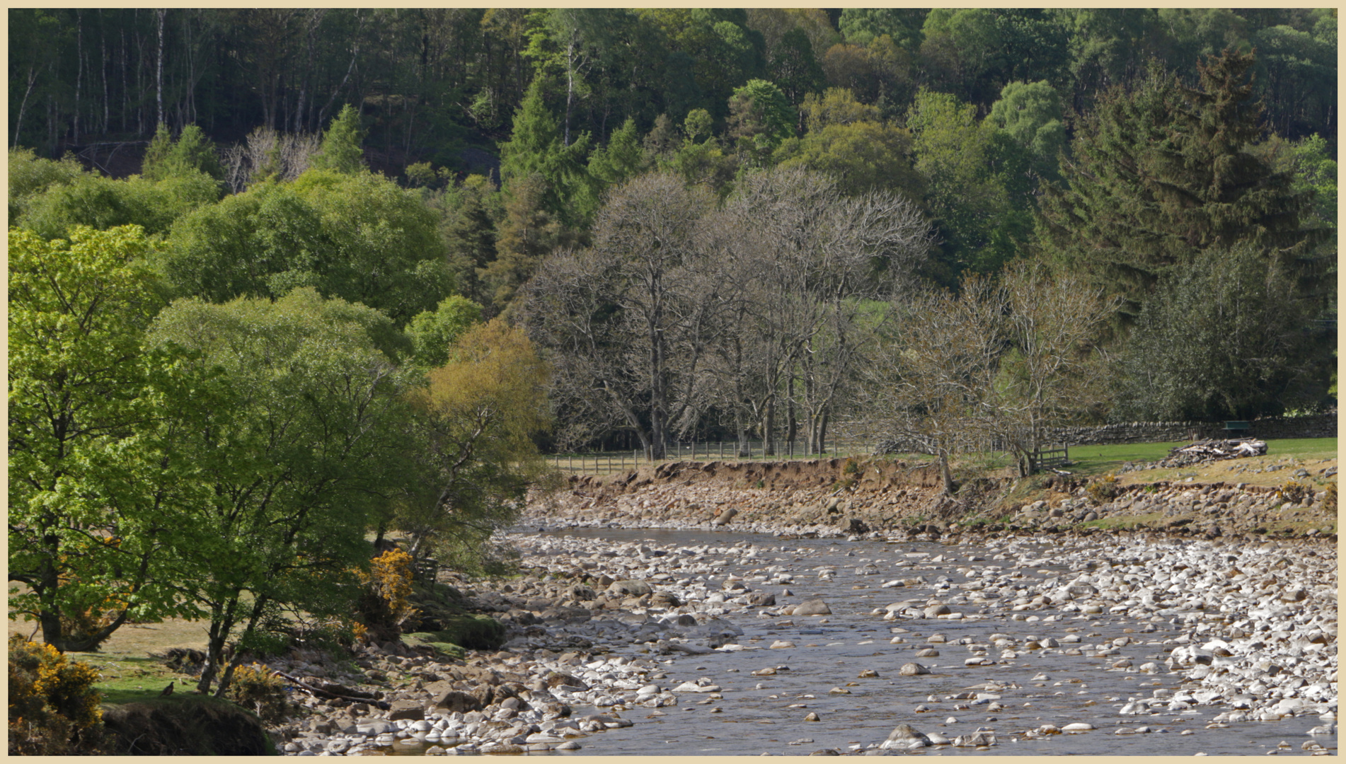 River south tyne near Eals