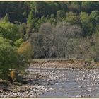 River south tyne near Eals