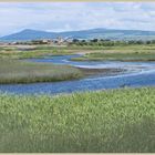 River Spey at Spey bay 3