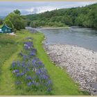 River Spey near the old blacksboat