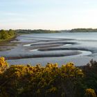 river suir . waterford