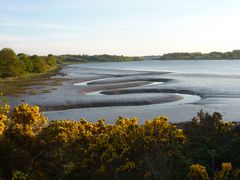 river suir . waterford