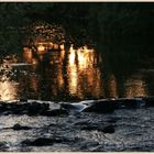 River swale at dusk 3