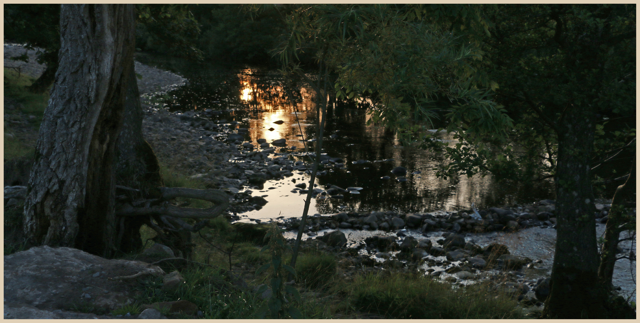 River swale at dusk 6