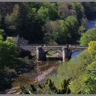 River Swale at Richmond