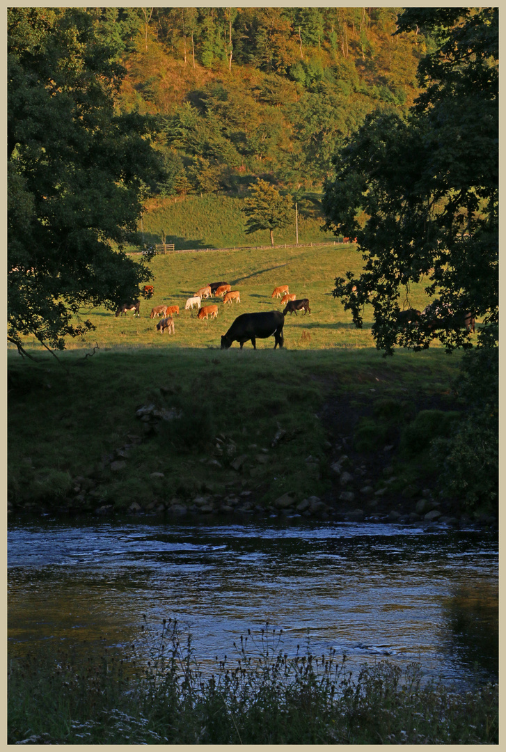 River Swale near Downholme bridge evening