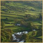 River Swale near Muker 4