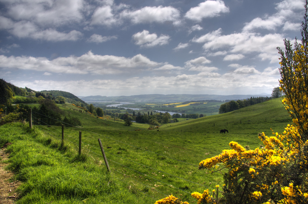 River Tay from Kinnoull Hill