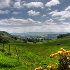 River Tay from Kinnoull Hill