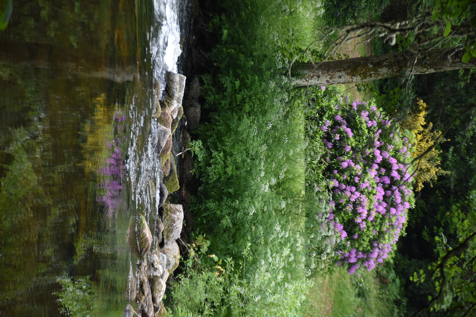 River Teign