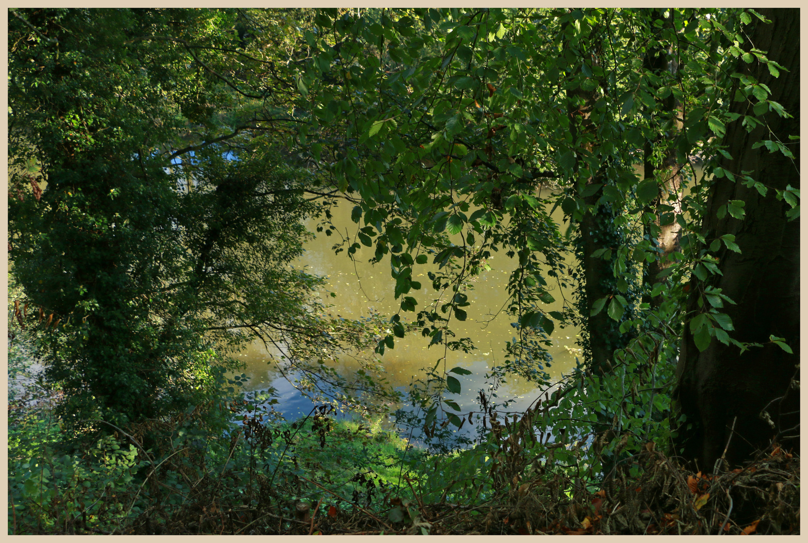 River teme at Ludlow