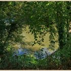 River teme at Ludlow