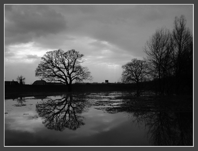 River Tisza