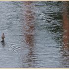 River tweed at leadersfoot