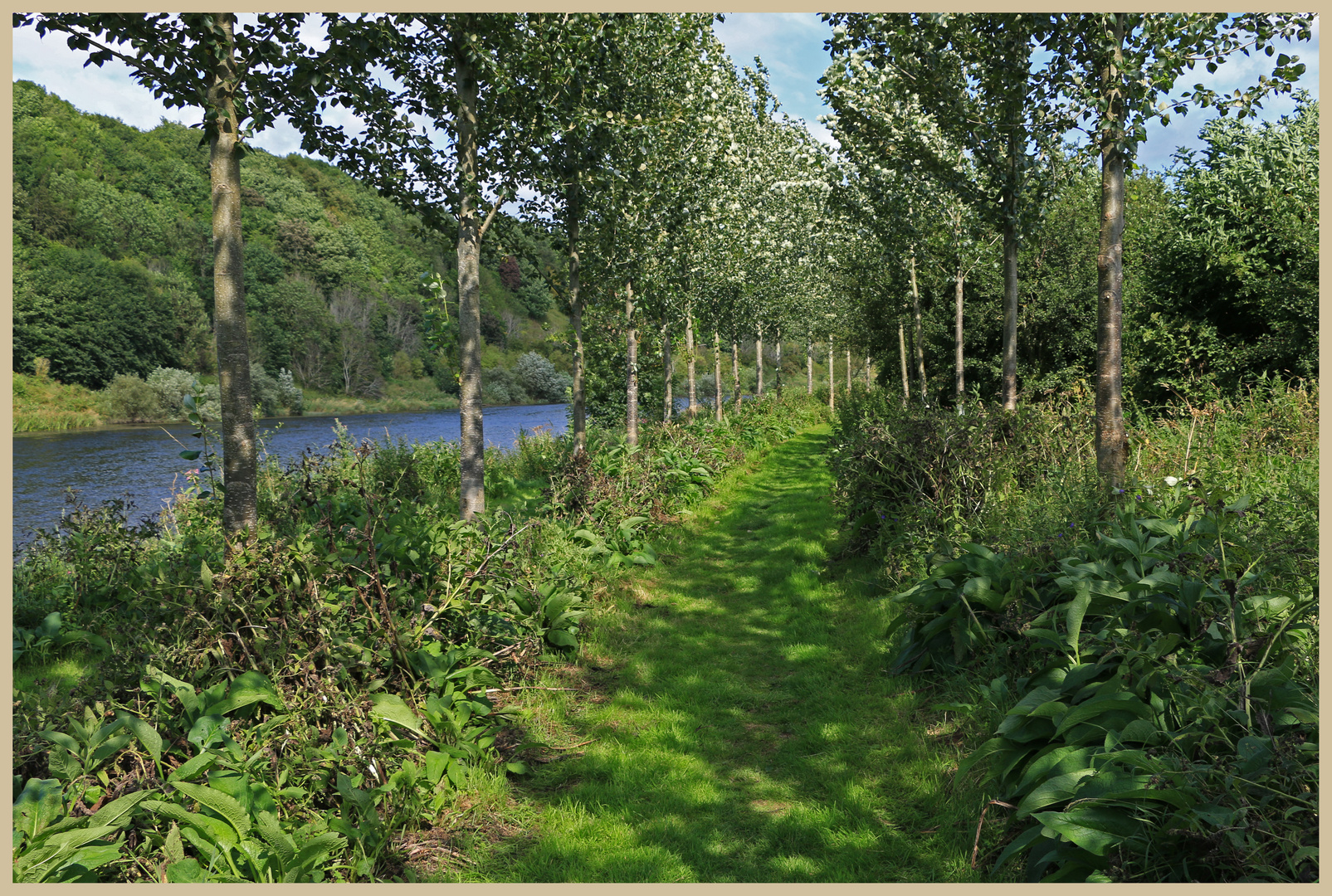 River Tweed at Norham 12