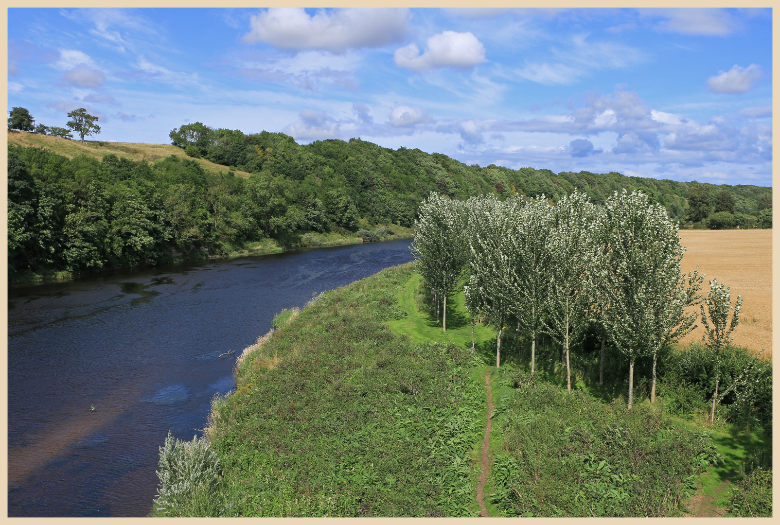 River Tweed at Norham 7