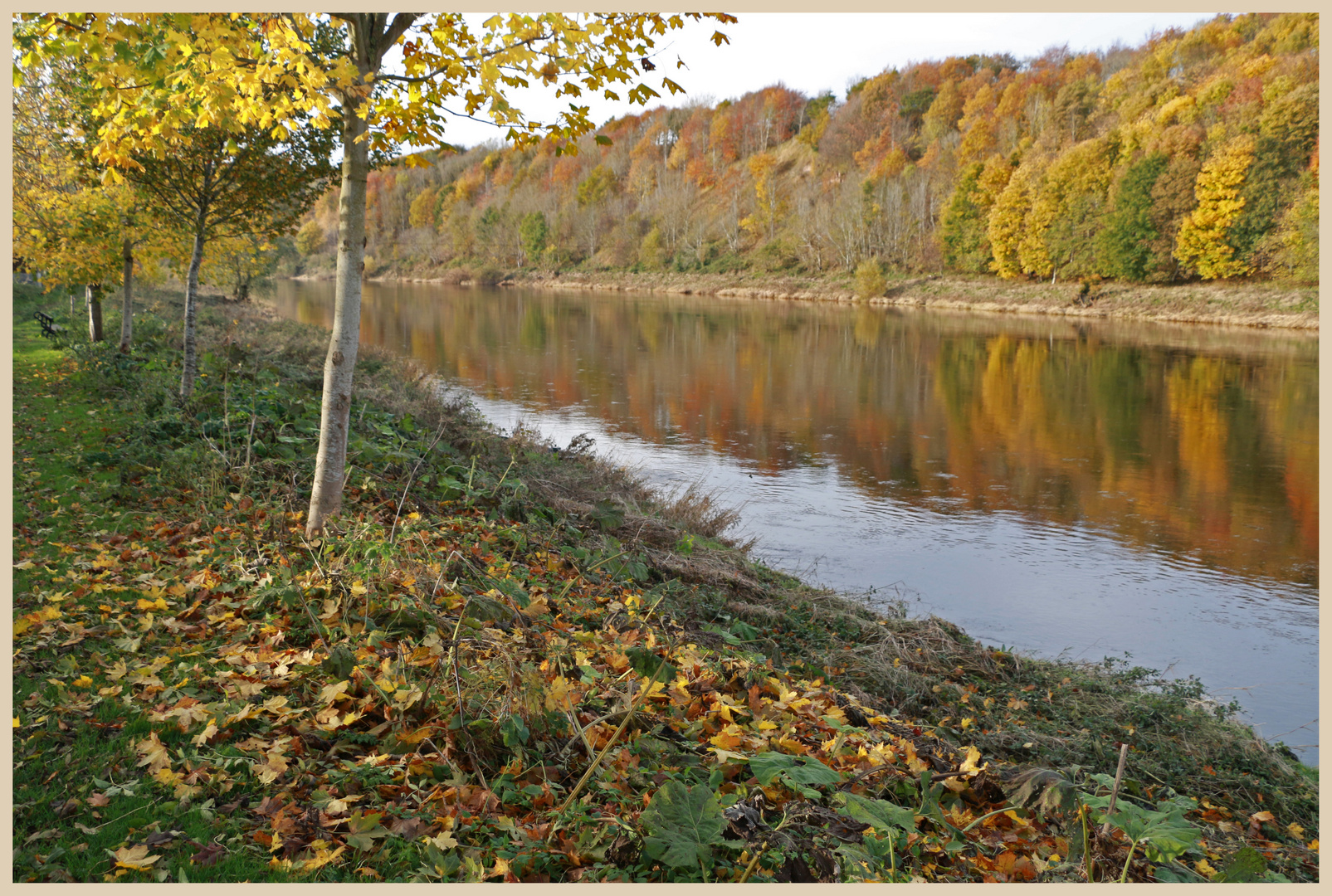 River Tweed at Norham 7