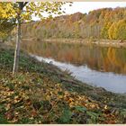 River Tweed at Norham 7