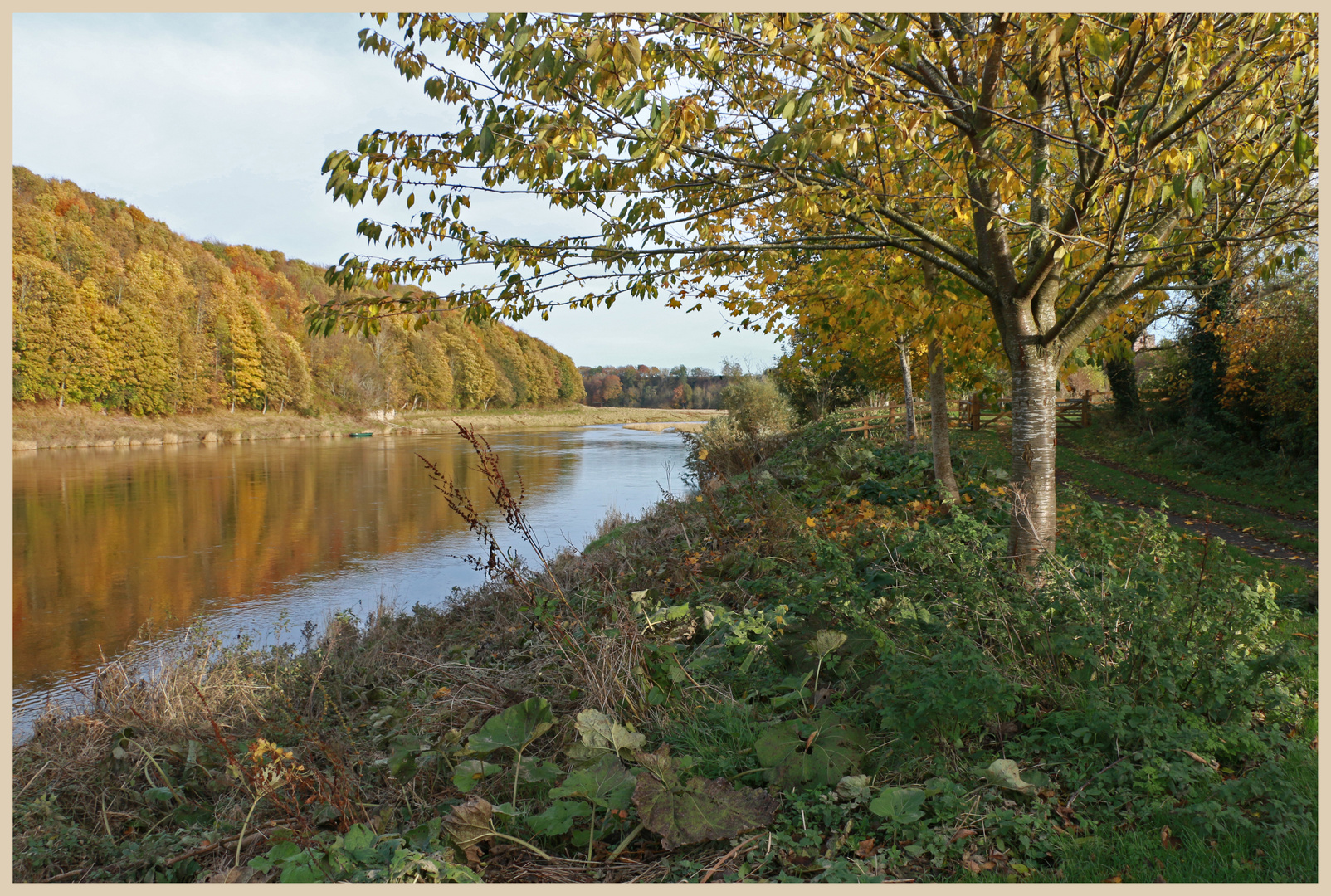 River Tweed at Norham 8