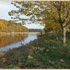 River Tweed at Norham 8