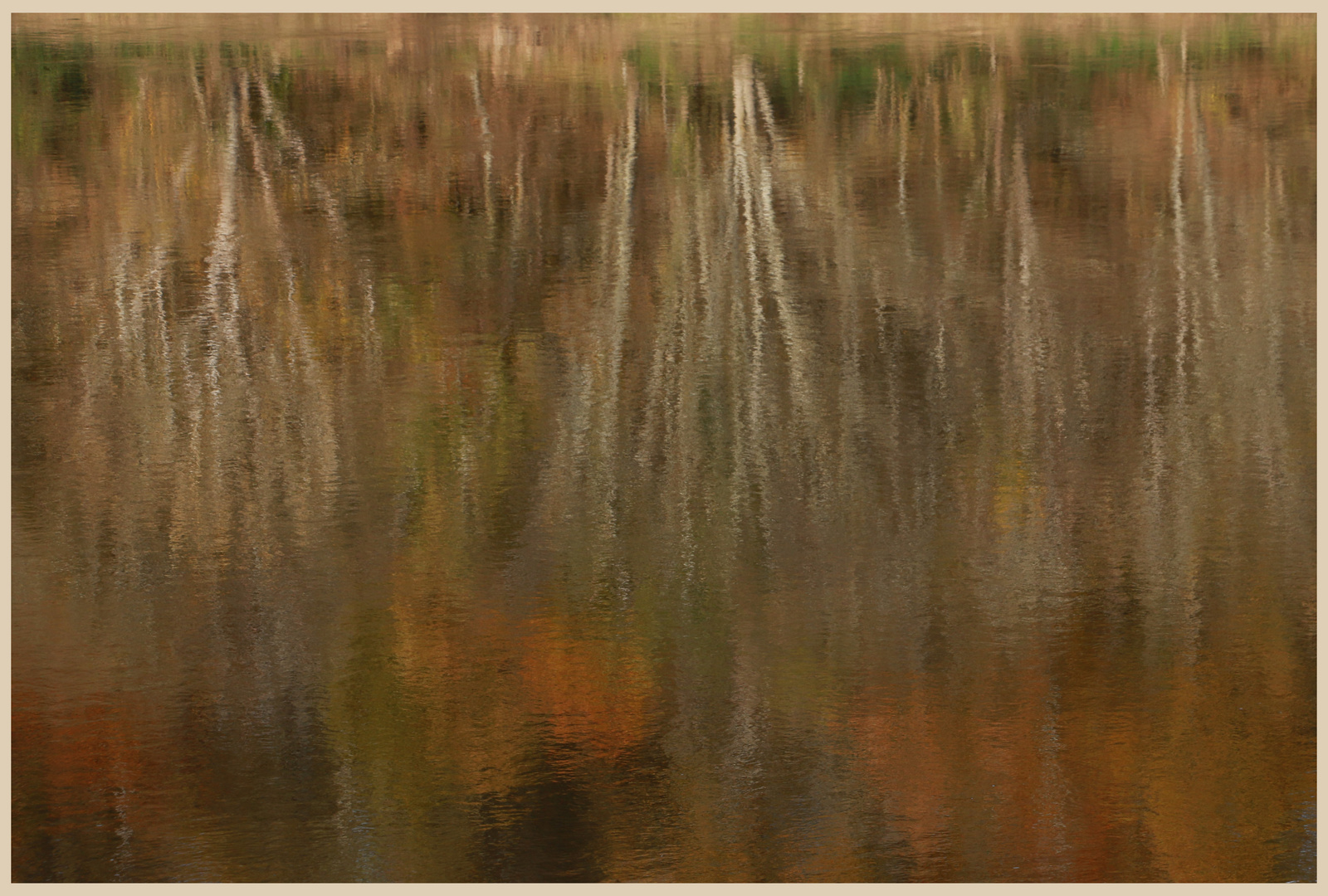 River Tweed at Norham 9