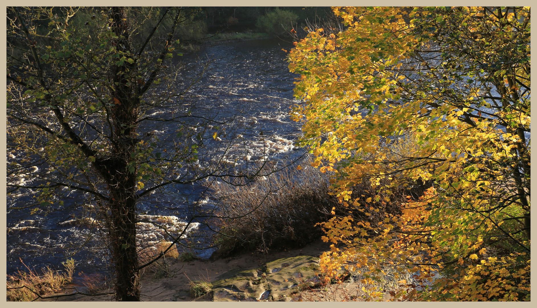 River Tyne at Bywell 2