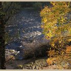 River Tyne at Bywell 2