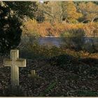 River Tyne at Bywell 3