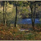 River Tyne at Bywell