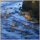 River Tyne at Bywell bridge