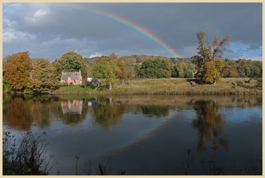 River Tyne at Hexham 1